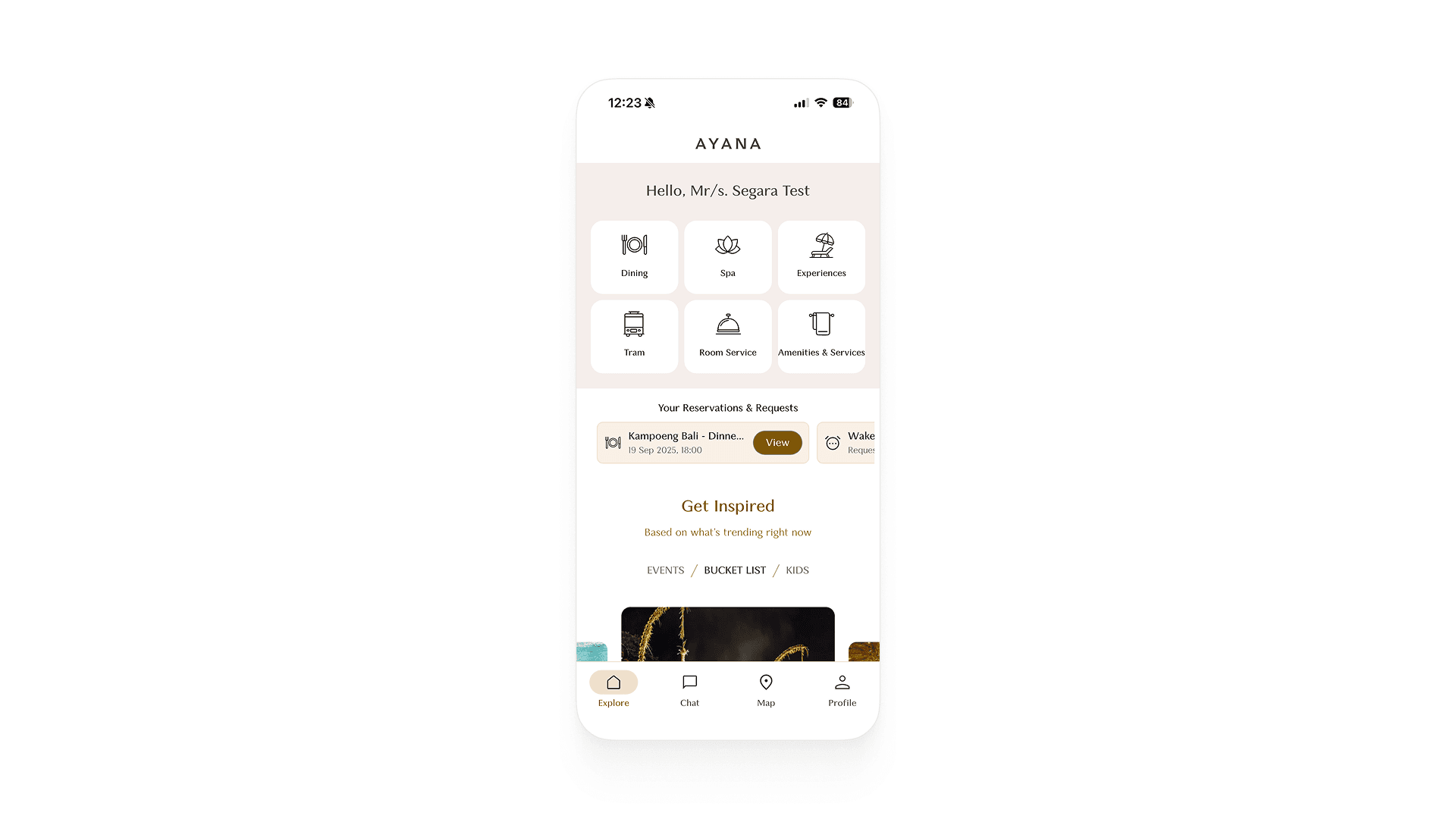 AYANA App v1.0's design